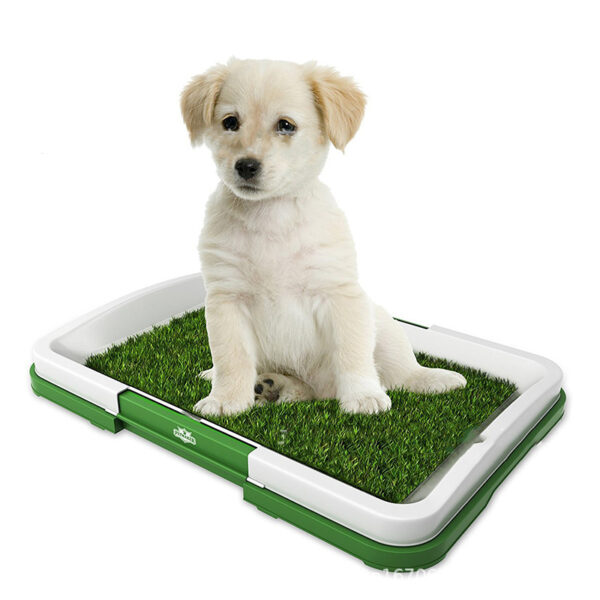 ⁦Dog Cleaning Tool Grid Lawn Flat Toilet Dog Potty⁩ - الصورة ⁦5⁩