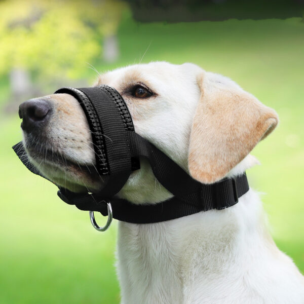 Dog Mouth Muzzle Anti Bark Dog Collar Breathable Dog Training Tool Nylon Muzzle Set With Stripes Summer Pet Leashes – Image 7