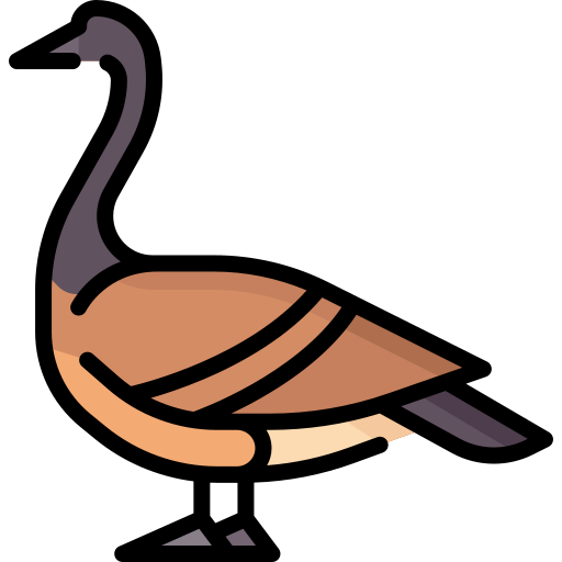 goose 9804324