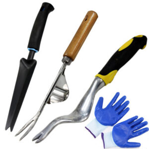 71545760015.jpg