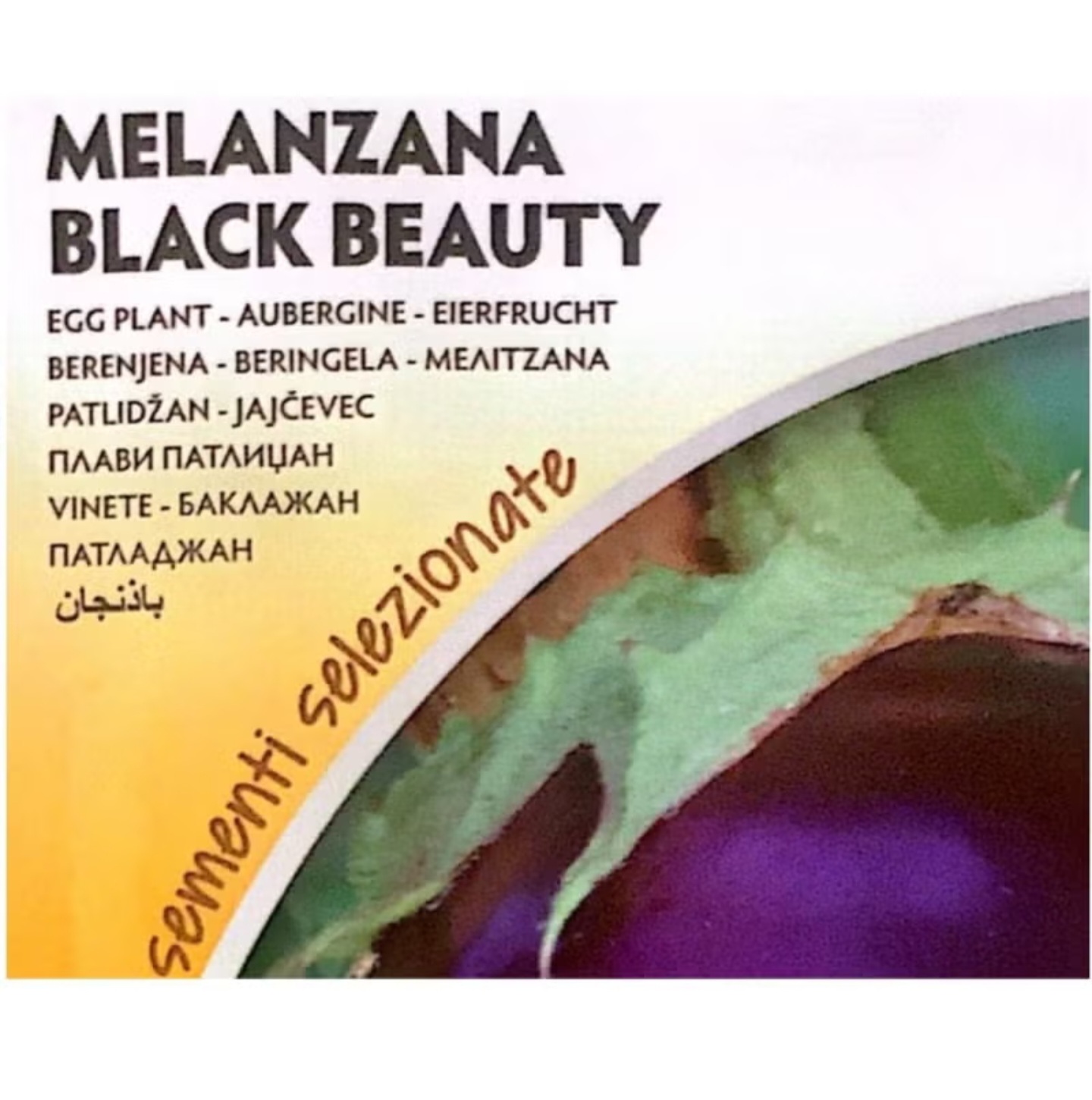 بذور باذنجان