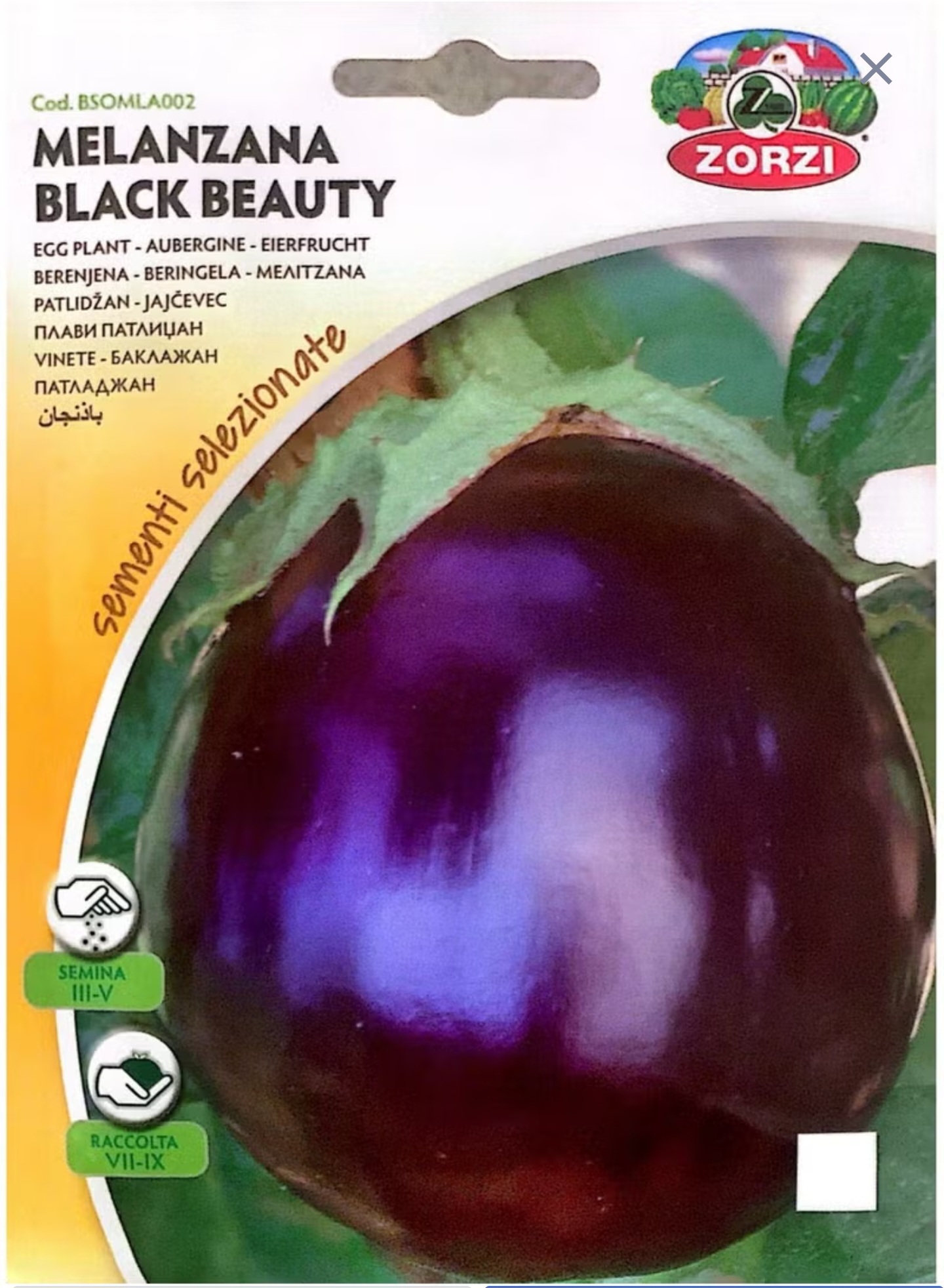 بذور باذنجان