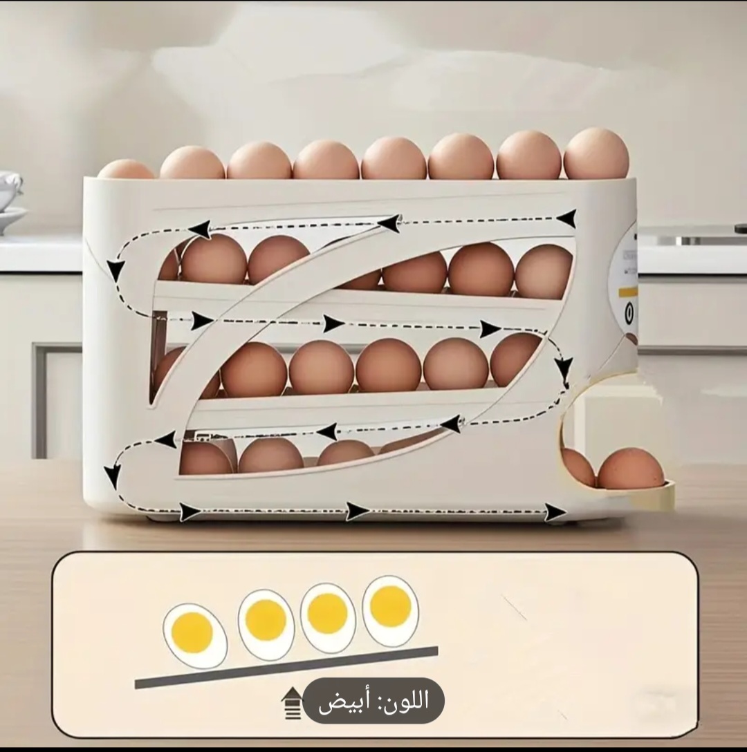 حاوية تخزين البيض