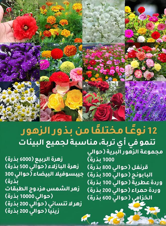 مجموعة بذور زهور موسمية
