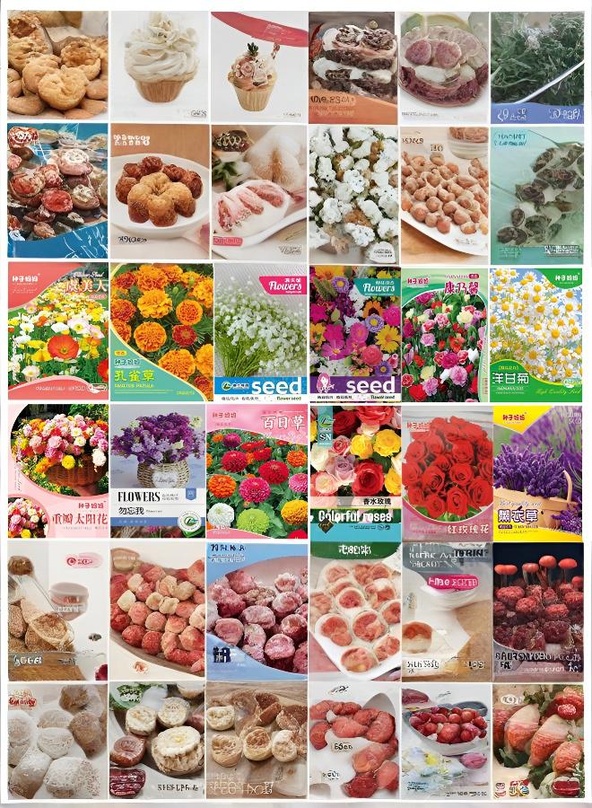 مجموعة بذور زهور موسمية