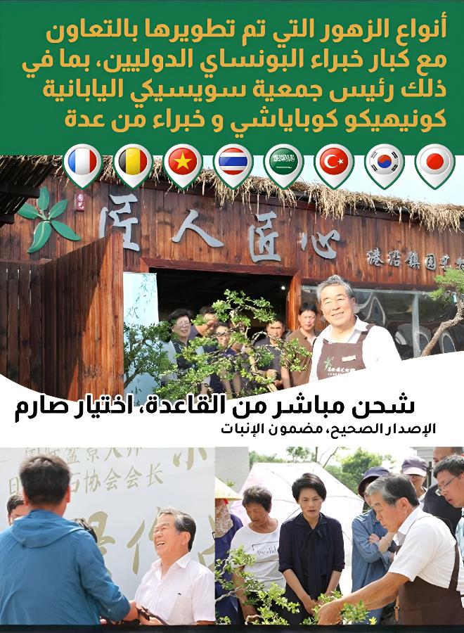 مجموعة بذور زهور موسمية