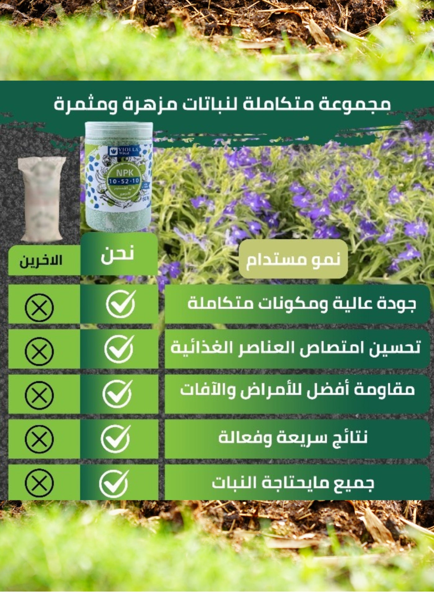 سماد التزهير والثمار